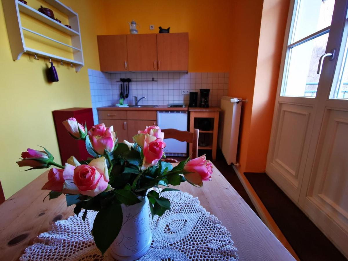 Haus Seenland Apartment Feldberger Seenlandschaft