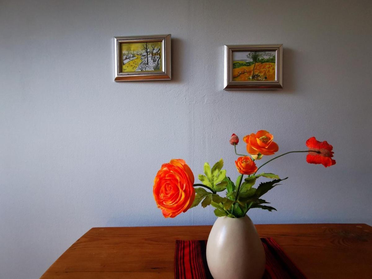 Haus Seenland Apartment Feldberger Seenlandschaft